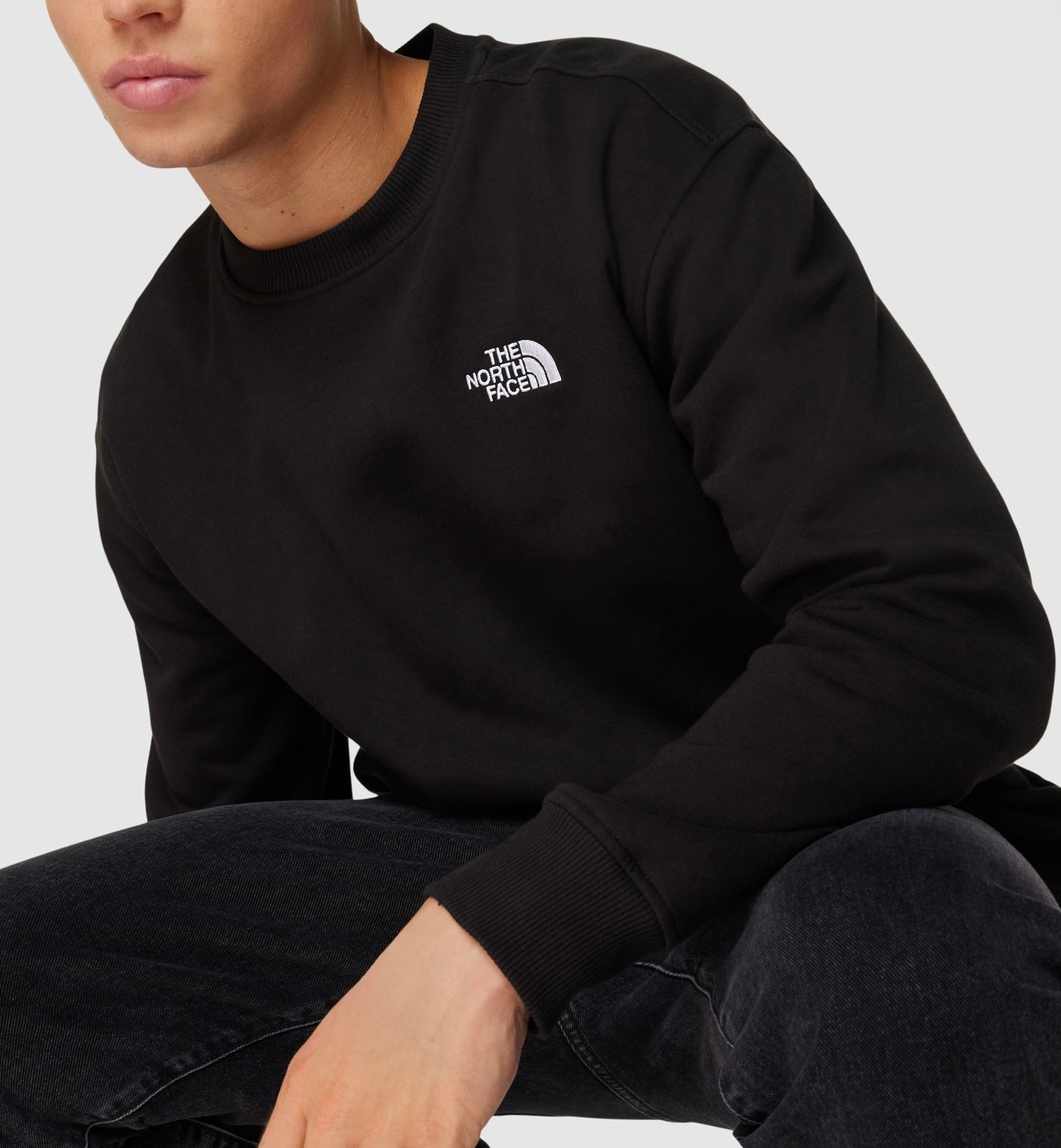 SWEATSHIRT THE NORTH FACE